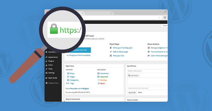 Cấu hình SSL cho website WordPress