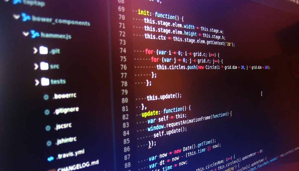 Javascript Module Attribute